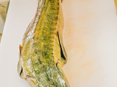 -老刘生态大鱼坊铁锅炖鱼(赛马场店)