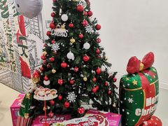 -英孚教育青少儿(河东中心)