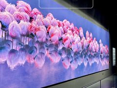 -罗红摄影艺术馆