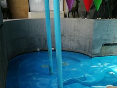 -固安来康郡来康温泉