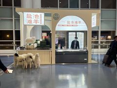 -银川河东国际机场