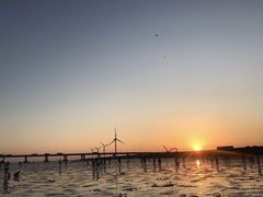 -南汇新城海滩