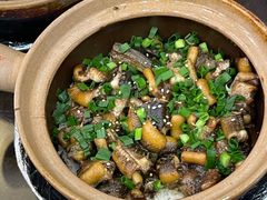 -红星光发煲仔饭(文海店)