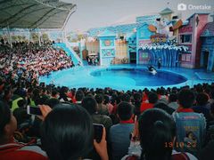 -华夏文旅海洋公园