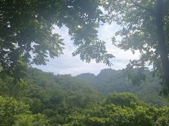 -大岭沟猕猴桃谷风景区