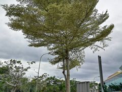 -吉隆坡国际机场