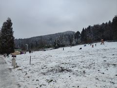 -武陵山森林公园