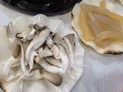 平菇-生态牦牛王