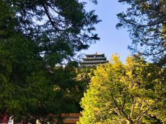 景山南门-景山公园