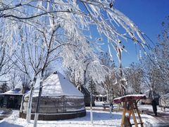 -九十九顶毡房(阜石路店)