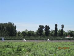 -北京东方普罗旺斯薰衣草庄园