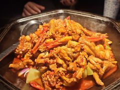 -蛙来哒(万豪城市广场黑金冠店)