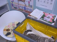 -纳吉亚猫专科动物医院·北北分院