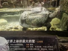 -皇家海洋乐园