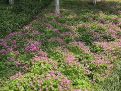 -杭州城北体育公园