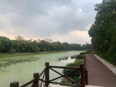 -上海海湾国家森林公园