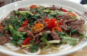 Special Cilantro Beef Noodles