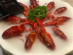 冰镇小龙虾-沪小胖小龙虾(淮海中路旗舰店)