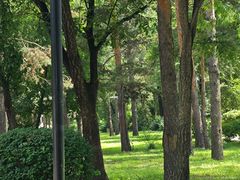 -黑龙江省森林植物园