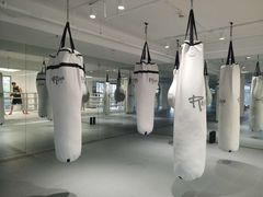 -EFL巴西柔术·综合格斗·泰拳·少儿体能训练(虹桥德必馆)