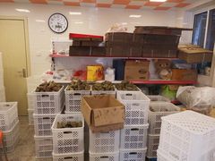 -璐坊粽王(复兴中路店)