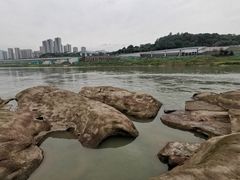-金海湾滨江公园