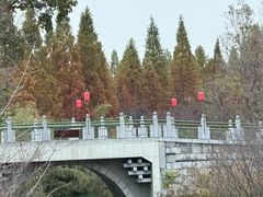 -洛阳市隋唐城遗址植物园