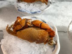 -上隐水产海鲜刺身自助餐(淮海百盛店)