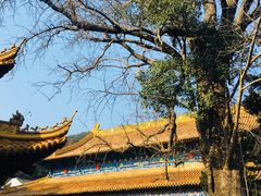-普陀山风景名胜区-法雨禅寺