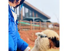 -黄龙溪欢乐田园