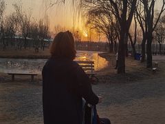 -安德鲁户外烧烤帐篷营地(马泉营店)