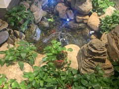 -清真·京华源铜锅涮肉(丰庆店)