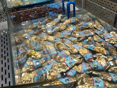 -半岛听涛蒸汽海鲜自助(K11店)