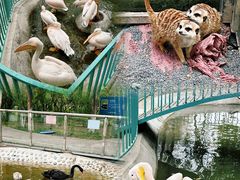 -水上乐园·欢乐世界