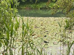 -杭州雅谷泉山庄酒店-餐厅