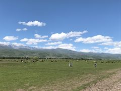 -新疆那拉提国家旅游度假区