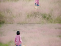 -王借岗森林公园