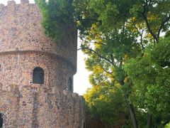 -J Create城市露营咖啡·简餐·宠物(上海动物园店)