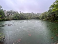 -潜山国家森林公园