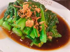 -松發肉骨茶(先得坊店)