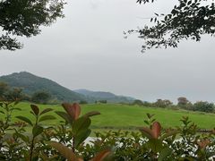 -径山花海