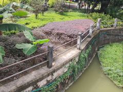 -晓港公园