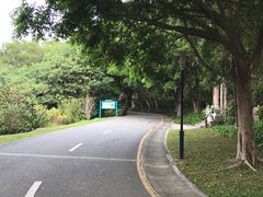 -深圳国际园林花卉博览园