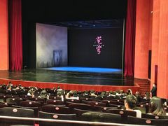 -合肥大剧院