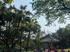 -荔湾湖公园
