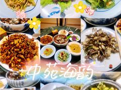 -中苑海韵