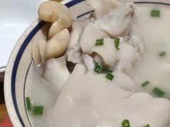 -易老妈蹄花.特色川菜(人民公园总店)