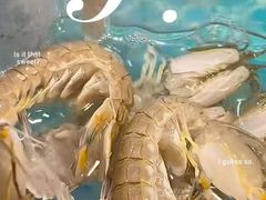 -喜来酌海鲜·饺子(和平一店)