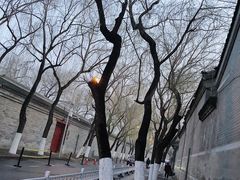 -后海公园