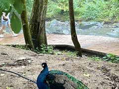 -本溪关山湖风景区